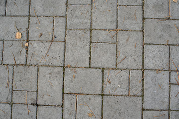 Gray old tile on the road. Texture. Background.
