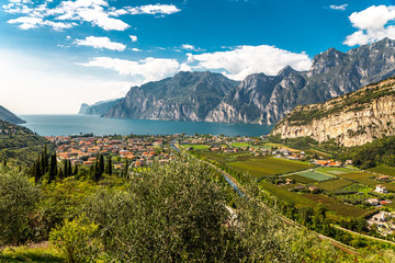 Lake Garda and vineyards near Torbole town, - obrazy, fototapety, plakaty