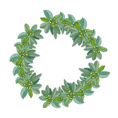 Fototapeta premium Tropical circular frame with hand drawn green leaves of blooming ficus on white background. Modern tropics round wreath. Flyer design. Botanical circle template. illustration