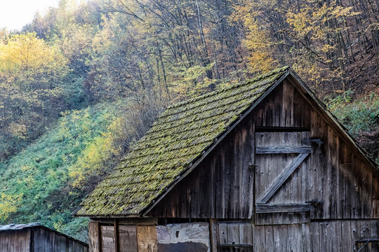 Old house in autumn deciduous forest, Reviste, Slovakia