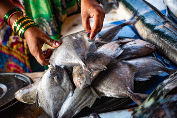 fish market in Mumbai