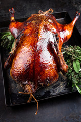 Traditional roasted stuffed Christmas Peking duck with herbs as closeup on a board