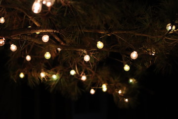 christmas tree with lights