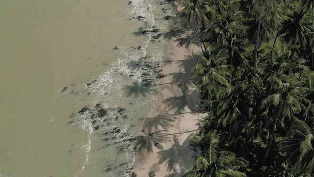 Rocky Beach with Palm Trees in Thailand 4K Drone shot