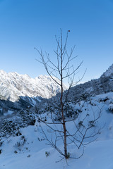 Winter in den Bergen