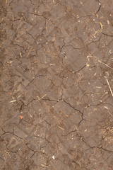 Dry Cracked Brown Dirt Road Texture