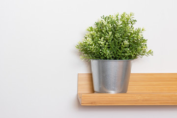 Potted green plant in metal flowerpot on wooden shelf in front of white wall with copy space, minimalistic scandinavian interior