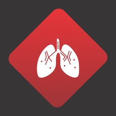  kidney icon for your project