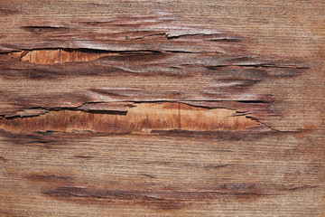 Naklejka premium Weathered wooden floor texture background
