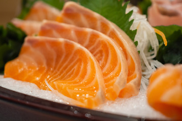 Raw salmon sashimi slice on ice Japanese food