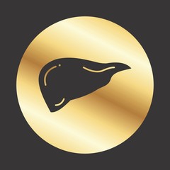  Liver icon for your project