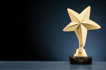 Championship or race trophy with a gold star