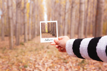 Detalle de mano de mujer sujetando y haciendo coincidir una fotografía instantánea con el paisaje de un bosque en la estación de otoño.