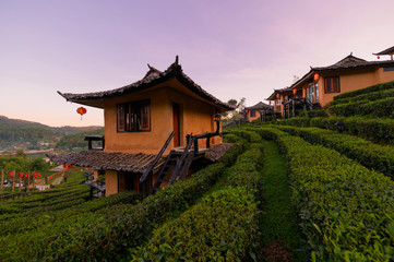 Lee wine Rak Thai,Ban Rak Thai a Chinese settlement, Mae Hong Son, Thailand	