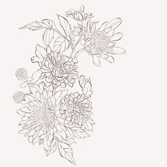 Vector dahlia flower. Autumn flowers bouquet.  Element for desig