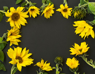 Bouquet of yellow blooming sunflowers on a black background, chalk board. There is a place for text. Flat lay on top.