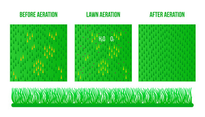 Top view Lawn Aeration. Before and After stage. Vector sign surface illustration.