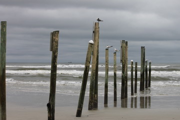 post on beach side