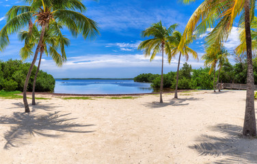 Florida keys with palm trees on sunny beach. Panorama of Summer vacation and tropical beach concept. - obrazy, fototapety, plakaty