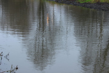 Small waves on the surface of the water. Reflection on the surface of the water. Moscow. Russia.