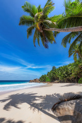 Sunny tropical beach background. Summer vacation and tropical beach concept.  