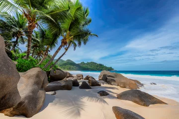 Tropischer exotischer Strand und Kokospalmen © lucky-photo