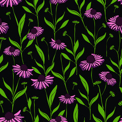 Seamless vector pattern with pink daisy's on black background. Repeat wallpaper design with flowers. Dark floral fabric print.