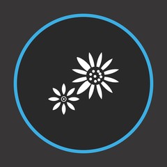  Sun Flower icon for your project