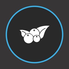 Cherry fruit icon for your project