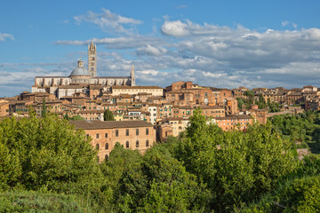 Fototapeta na wymiar Cattedrale di Santa Maria Assunta. The Duomo Santa Maria Assunta in Siena is located on the highest point of the city hill. Tuscany, Italy
