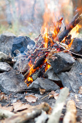 Stone fire bonfire burning sticks firewood in autumn