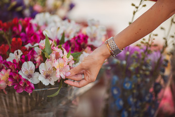 Fototapeta premium the girl's hand touches a bouquet of flowers