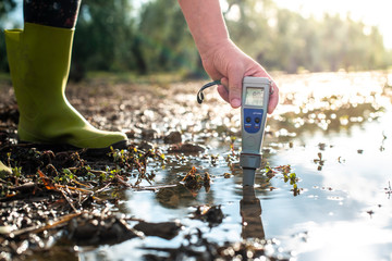 Measure water content with digital device.  PH meter. - 303162950
