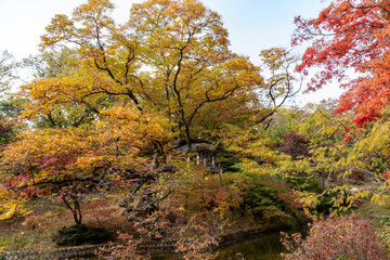 Beautiful autumn foliage Seoul South Korea.