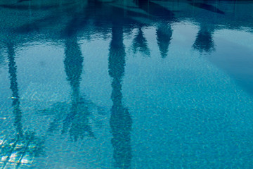 Morning reflection in the water of the hotel pool.