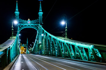 Fototapeta na wymiar Budapest, Ungheria, ponte della libertà, di notte