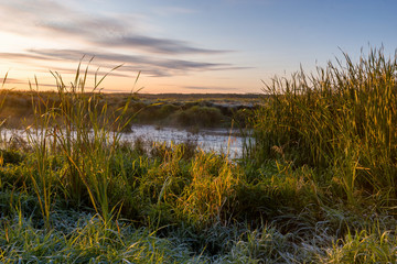 Narwiański Park Narodowy, Rzeka Narew, Podlasie, Polska © podlaski49