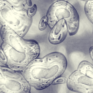 Seamless pattern with single cell microorganisms or microbiomes on transparent grey blue colored background. Backdrop with microbes parasite bacterias, protists, protozoa, viruses. Microscopy view
