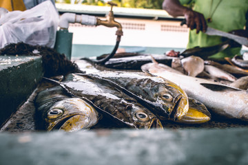 Erin Beach Fish Market