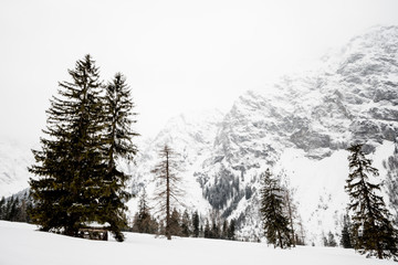 Alpen Winter