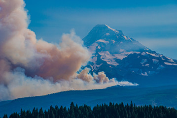 Dollar Lake Wildfire - 2011, north side of Mt. Hood on MHNF.