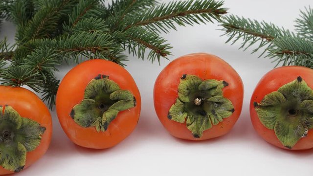 Ripe persimmon fruits, spruce branches lie on a white background. Christmas composition