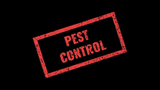Pest control red grunge stamp animation with alpha channel. Anti pest inscription motion graphics. Perfect for exterminator service and pest control companies. 