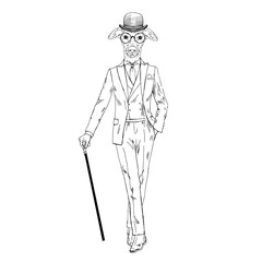 Fototapeta na wymiar Humanized Italian Greyhound breed dog dressed up in vintage outfits. Design for dogs lovers. Fashion anthropomorphic doggy illustration. Animal wear suit, tie, glasses, walking stick. Hand drawn
