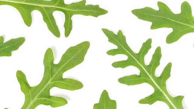Closeup view of green leaves of rocket salad or ruccola isolated on white background. Macro shoot video footage.