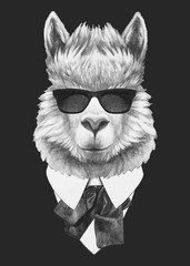 Portrait of Llama in suit. Hand-drawn illustration. Vector isolated elements.  © Victoria Novak