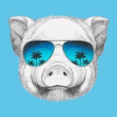 Portrait of Pig with sunglasses. Hand-drawn illustration. Vector isolated elements.	