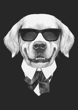 Portrait of Golden Retriever in suit. Hand-drawn illustration. Vector isolated elements.	