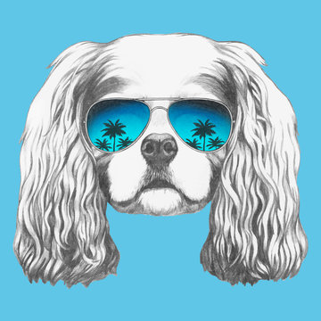 Portrait of Cavalier King Charles Spaniel with sunglasses. Hand-drawn illustration. Vector isolated elements.	
