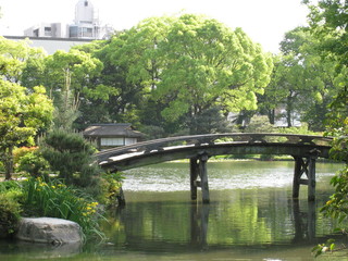 池に木橋